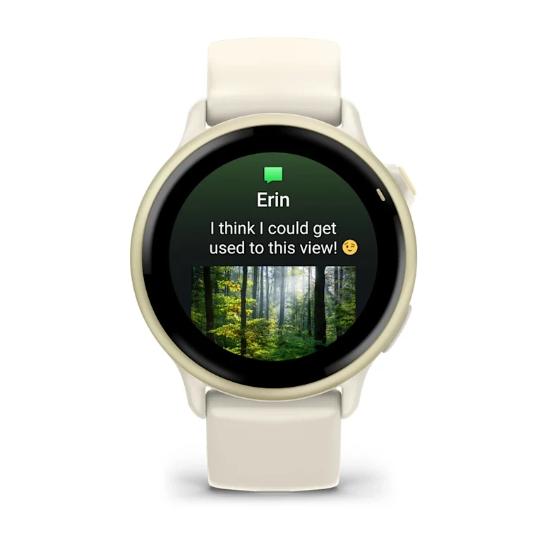 ساعت گارمین Vivoactive 6 - تصویر 4